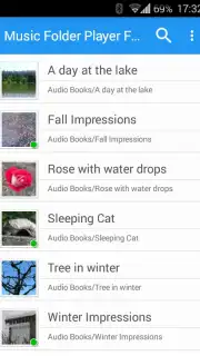 Music Folder Player Free capture 6