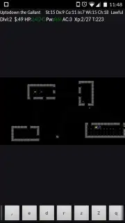 NetHack capture 1