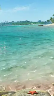 Fishing Clash capture 12