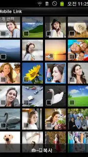 MobileLink capture 3