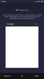 Mint Browser capture 6