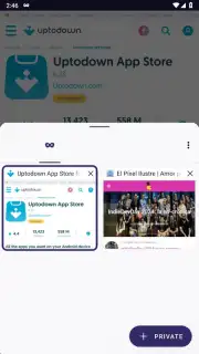 Tor Browser capture 26
