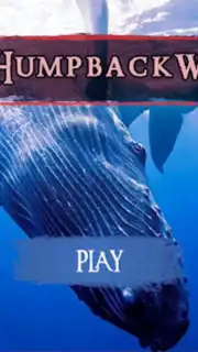 The Humpback Whales capture 9