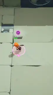 Project R.I.S.E capture 9