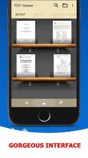 PDF Viewer capture 1