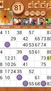 Loto Online capture 2