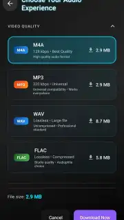 VidCombo: All Video Downloader capture 6