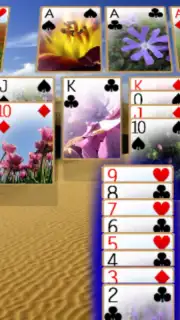 Solitaire 3D capture 3