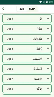 Quran Majeed capture 1
