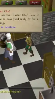 Old School RuneScape capture 4