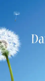 Dandelion capture 4