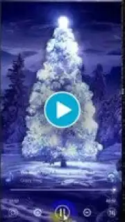 3D Player capture 1