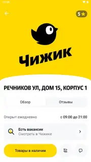 Чижик capture 4