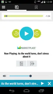 Marketplace capture 3