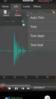 WavePad capture 4