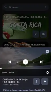 YTDLnis capture 12