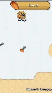 Pocket Ants capture 14