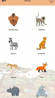 My Zoo capture 4