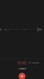 Google Recorder capture 4