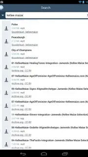 FrostWire capture 3