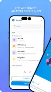 TinyWow capture 2