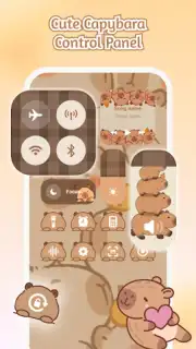 iControl capture 6