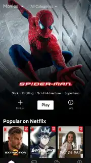 Netflix capture 4