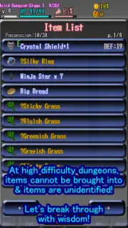 Eternal Rogue capture 12