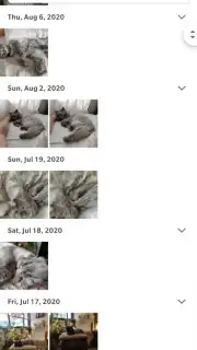 Google Photos capture 8