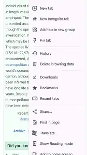 Chrome Beta capture 1