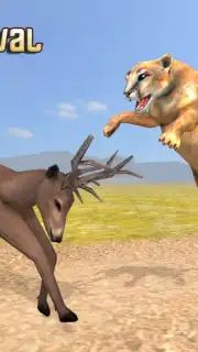 Puma Survival capture 7