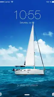 PIP Lock Screen capture 6