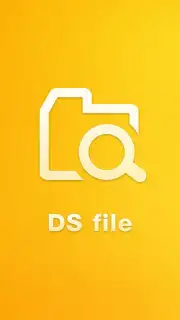 DS file capture 2