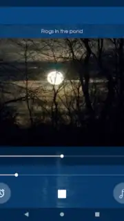 Расслабьтесь ночь capture 11