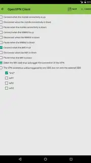 OpenVPN Client Free capture 2