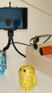 USB Camera Standard capture 5