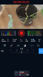 Blackmagic Camera capture 7
