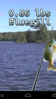 i Fishing 3 Lite capture 5