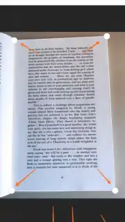 Xiaomi Scanner capture 3