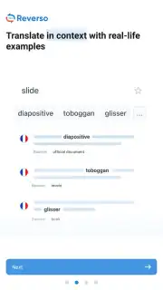 Reverso Translation Dictionary capture 23