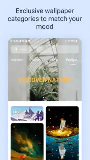 Themes capture 4