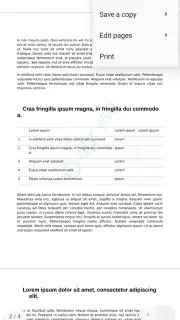 Progromatic DOCS Reader capture 3