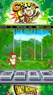 Crazy monkey slot capture 1