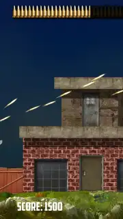 Mexico Rex capture 7