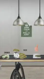 Grow Ops capture 4