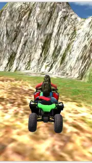Offroad Quad Bike capture 5