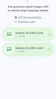 Google AI Edge Gallery capture 5