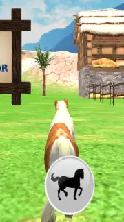 Pony Horse Simulator Kids 3D capture 1
