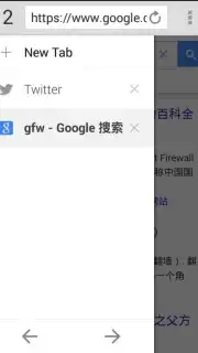 FreeBrowser capture 6