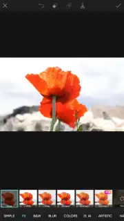 PicsArt capture 26